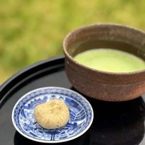 来週のお知らせ
